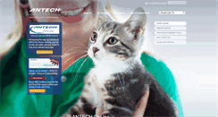 Desktop Screenshot of antechonline.com